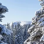 Schwarzwald 公寓 蒂蒂湖-新城