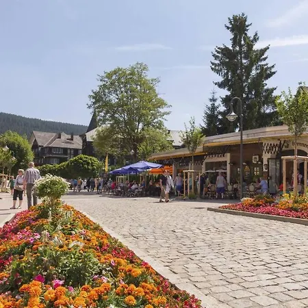Apartamento Waldtwin 2 - Balkon Mit Naturblick - Seenaehe 5 Minuten Titisee-Neustadt