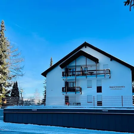 Waldtwin 2 - Balkon Mit Naturblick - Seenaehe 5 Minuten Titisee-Neustadt