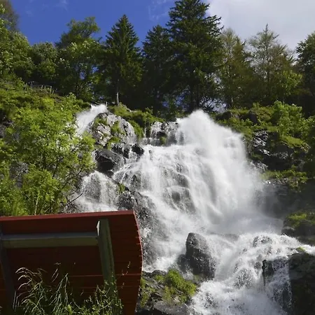 Waldtwin 2 - Balkon Mit Naturblick - Seenaehe 5 Minuten Apartamento Titisee-Neustadt