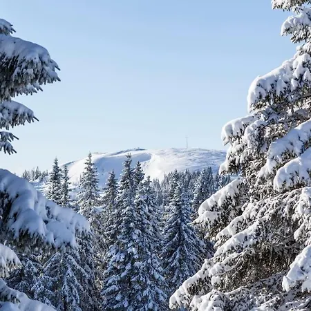 Schwarzwald Apartamento Titisee-Neustadt