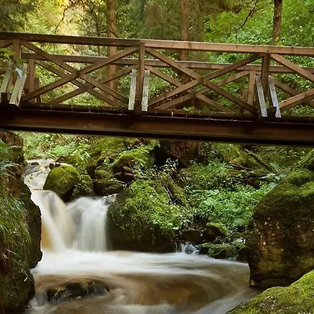 Waldtwin 2 - Balkon Mit Naturblick - Seenaehe 5 Minuten