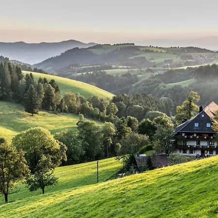 Schwarzwald Apartamento Titisee-Neustadt