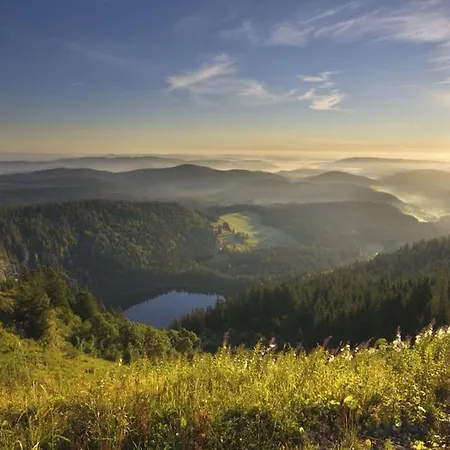 Waldtwin 2 - Balkon Mit Naturblick - Seenaehe 5 Minuten * Titisee-Neustadt