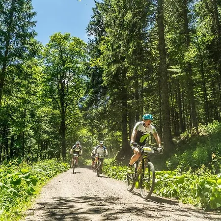 Apartamento Waldtwin 2 - Balkon Mit Naturblick - Seenaehe 5 Minuten Titisee-Neustadt