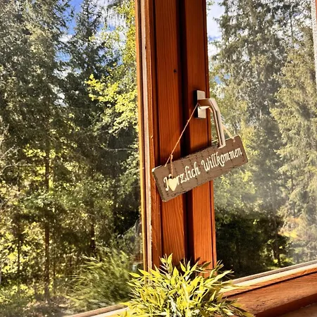 Apartment Schwarzwald *
