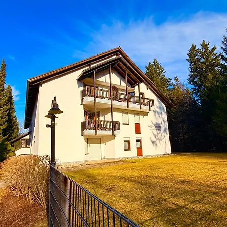 Schwarzwald * 蒂蒂湖-新城